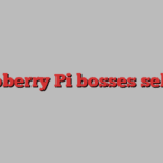 Raspberry Pi bosses sell out 